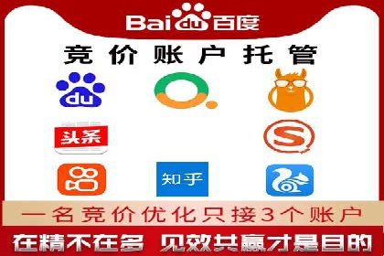 成功案例：SEM竞价代运营助力企业实现持续增长